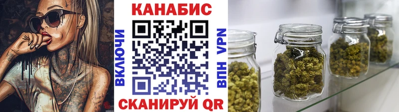 Бошки марихуана Amnesia  Купить закладки  Сураж 